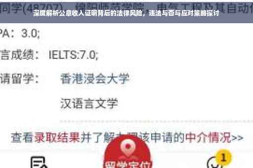 深度解析公章收入证明背后的法律风险，违法与否与应对策略探讨