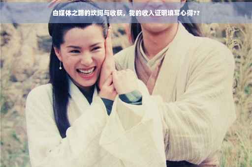 自媒体之路的坎坷与收获，我的收入证明填写心得??