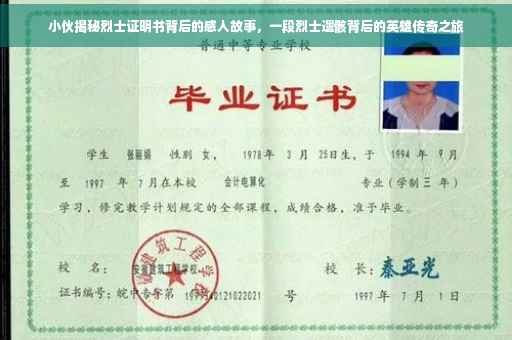 小伙揭秘烈士证明书背后的感人故事，一段烈士遗骸背后的英雄传奇之旅