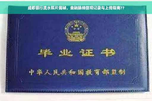 成都银行流水照片揭秘，金融脉络微观记录与上传指南??