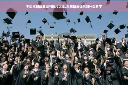 不同本科毕业证书图片大全,本科毕业证书叫什么名字