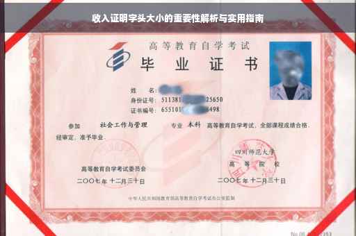收入证明字头大小的重要性解析与实用指南