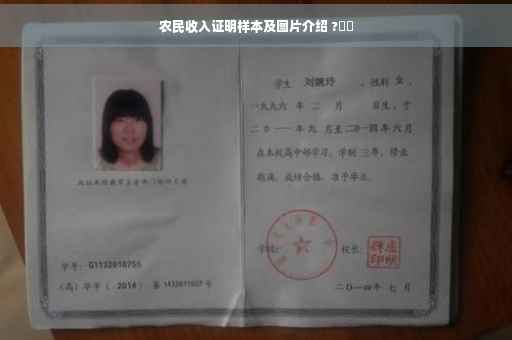 农民收入证明样本及图片介绍 ?⚡️