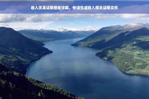 收入关系证明模板详解，快速生成收入相关证明文件