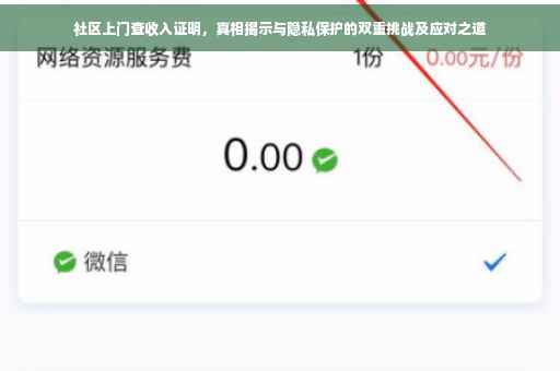 社区上门查收入证明，真相揭示与隐私保护的双重挑战及应对之道