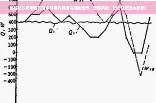 揭秘长沙定制银行流水背后的真相与风险警示，警惕风险，切勿轻信流水数额！