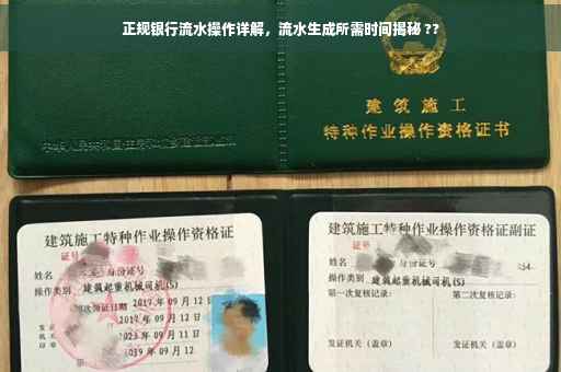 正规银行流水操作详解，流水生成所需时间揭秘 ??