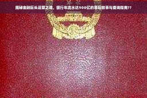 揭秘金融巨头运营之道，银行年流水达900亿的幕后故事与查询指南??