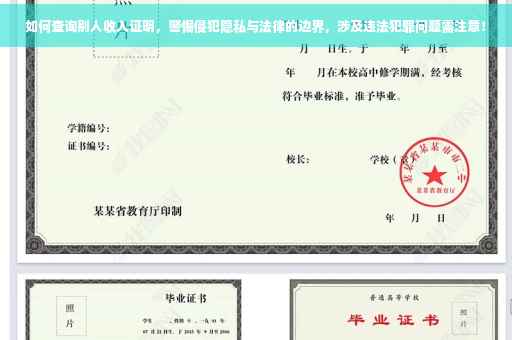 如何查询别人收入证明，警惕侵犯隐私与法律的边界，涉及违法犯罪问题需注意！