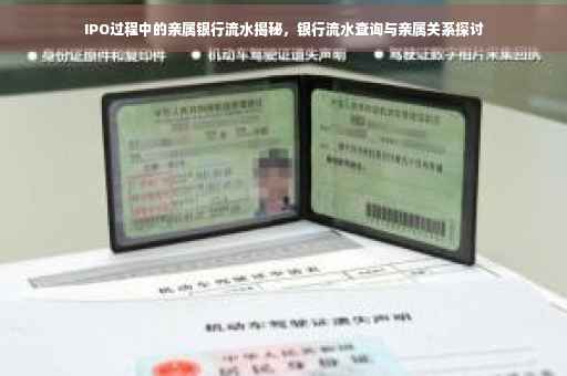 IPO过程中的亲属银行流水揭秘，银行流水查询与亲属关系探讨