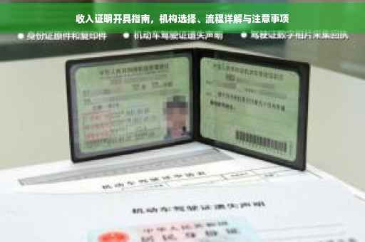 收入证明开具指南，机构选择、流程详解与注意事项