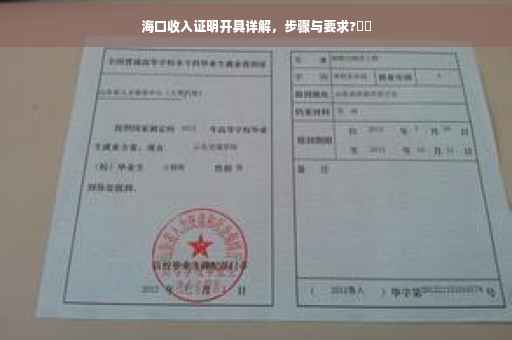 海口收入证明开具详解，步骤与要求?⚡️