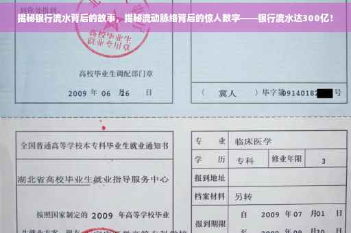 揭秘银行流水背后的故事，揭秘流动脉络背后的惊人数字——银行流水达300亿！