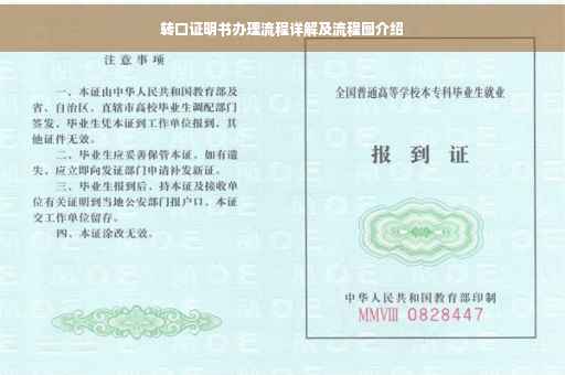 转口证明书办理流程详解及流程图介绍