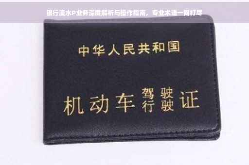 银行流水P业务深度解析与操作指南，专业术语一网打尽