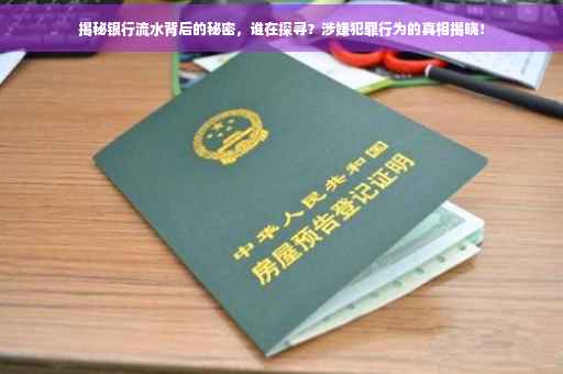 揭秘银行流水背后的秘密，谁在探寻？涉嫌犯罪行为的真相揭晓！