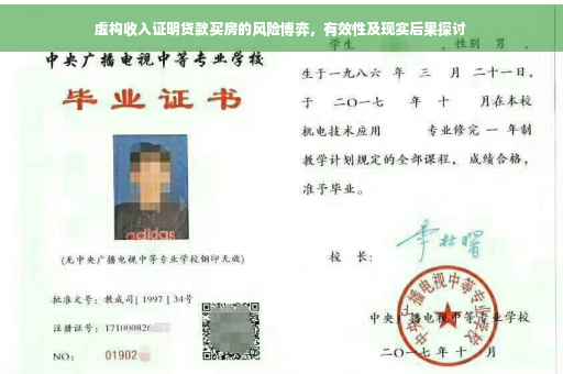 虚构收入证明贷款买房的风险博弈，有效性及现实后果探讨