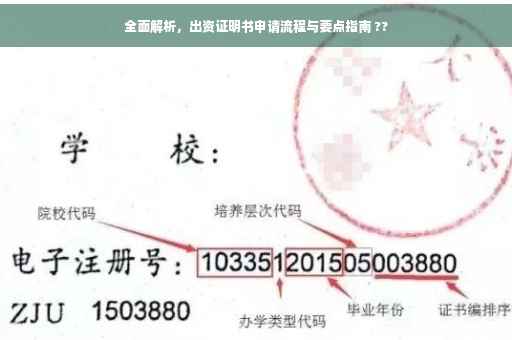 全面解析，出资证明书申请流程与要点指南 ??