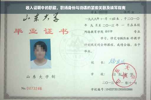 收入证明中的职称，职场身份与待遇的紧密关联及填写指南