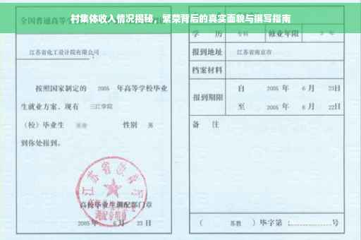 村集体收入情况揭秘，繁荣背后的真实面貌与撰写指南