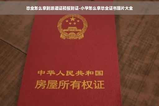 毕业怎么拿到派遣证和报到证-小学怎么拿毕业证书图片大全