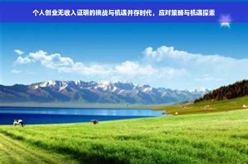 个人创业无收入证明的挑战与机遇并存时代，应对策略与机遇探索
