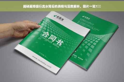 揭秘离婚银行流水背后的真相与深度解析，图片一览?⚡️