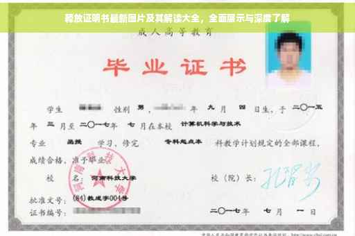 释放证明书最新图片及其解读大全，全面展示与深度了解