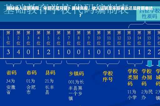 揭秘收入证明真相，年薪还是月薪？揭秘真相，收入证明是年薪表达还是月薪表达？