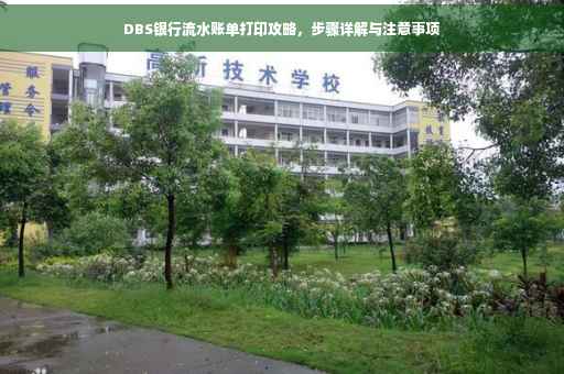 DBS银行流水账单打印攻略，步骤详解与注意事项