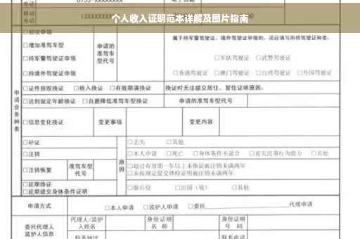 个人收入证明范本详解及图片指南