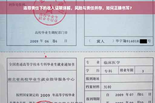 连带责任下的收入证明详解，风险与责任并存，如何正确书写？