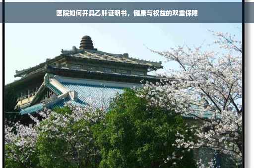 医院如何开具乙肝证明书，健康与权益的双重保障
