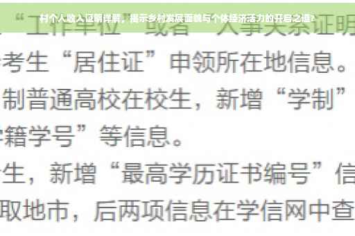 村个人收入证明详解，揭示乡村发展面貌与个体经济活力的开启之道?