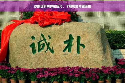 诊断证明书样板图片，了解格式与重要性