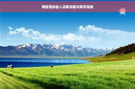 赔偿用的收入证明详解与撰写指南