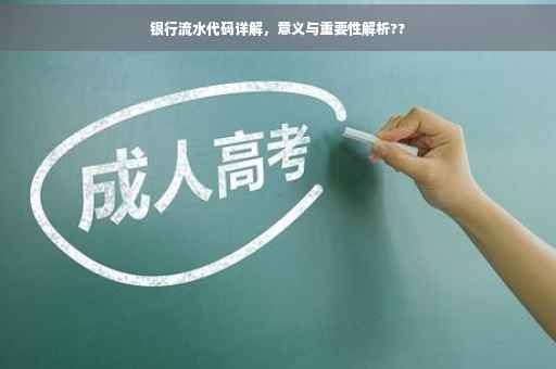 银行流水代码详解，意义与重要性解析??