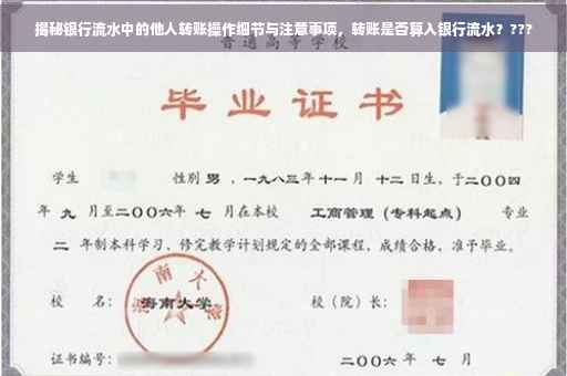 揭秘银行流水中的他人转账操作细节与注意事项，转账是否算入银行流水？???