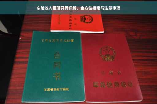 车险收入证明开具详解，全方位指南与注意事项