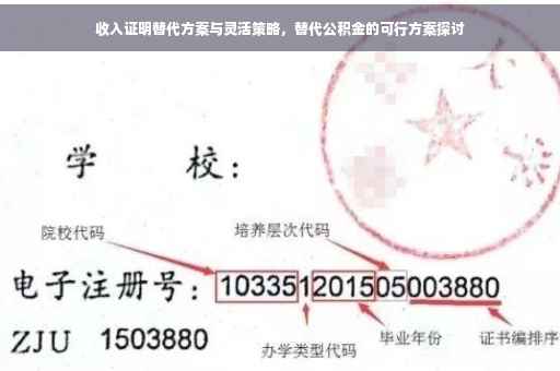 收入证明替代方案与灵活策略，替代公积金的可行方案探讨