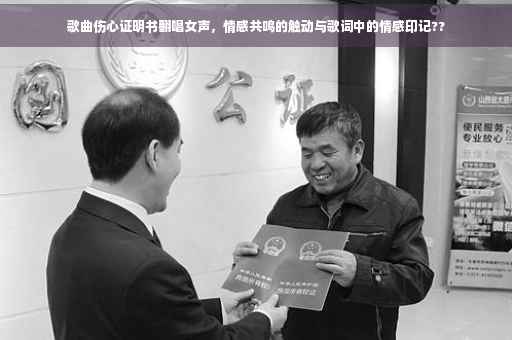 歌曲伤心证明书翻唱女声，情感共鸣的触动与歌词中的情感印记??
