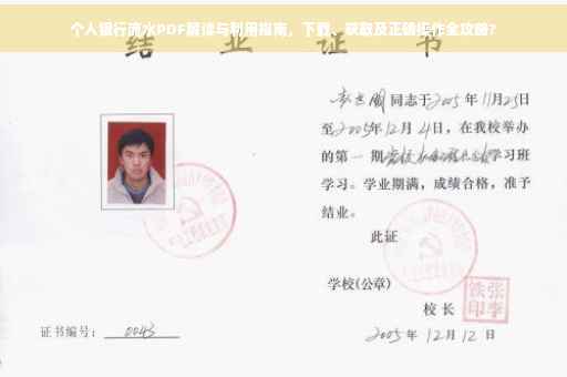 个人银行流水PDF解读与利用指南，下载、获取及正确操作全攻略?