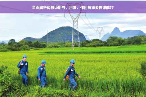 全面解析释放证明书，用法、作用与重要性详解??