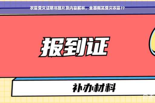 农田受灾证明书图片及内容解析，全面概览受灾农田??