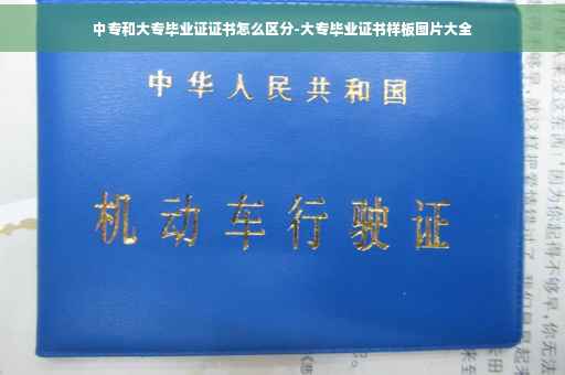 中专和大专毕业证证书怎么区分-大专毕业证书样板图片大全