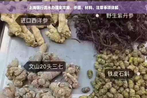上海银行流水办理全攻略，步骤、材料、注意事项详解
