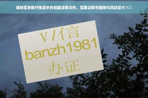 揭秘军事医疗体系中的权威证明文件，军医证明书揭秘与现状探讨 ?⚡️