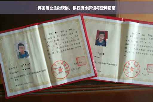 英国商业金融观察，银行流水解读与查询指南