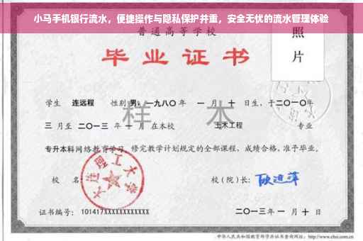 小马手机银行流水，便捷操作与隐私保护并重，安全无忧的流水管理体验