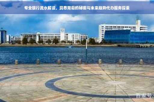 专业银行流水解读，洞悉背后的秘密与未来趋势代办服务探索